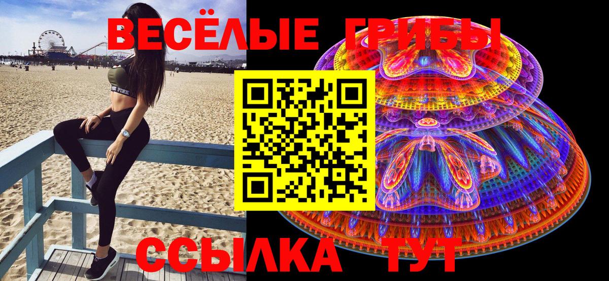 Псилоцибиновые грибы GOLDEN TEACHER  Вход с VPN  Северск 