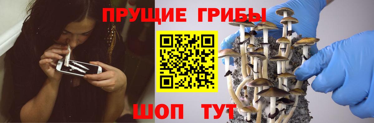 Галлюциногенные грибы мухоморы Северск